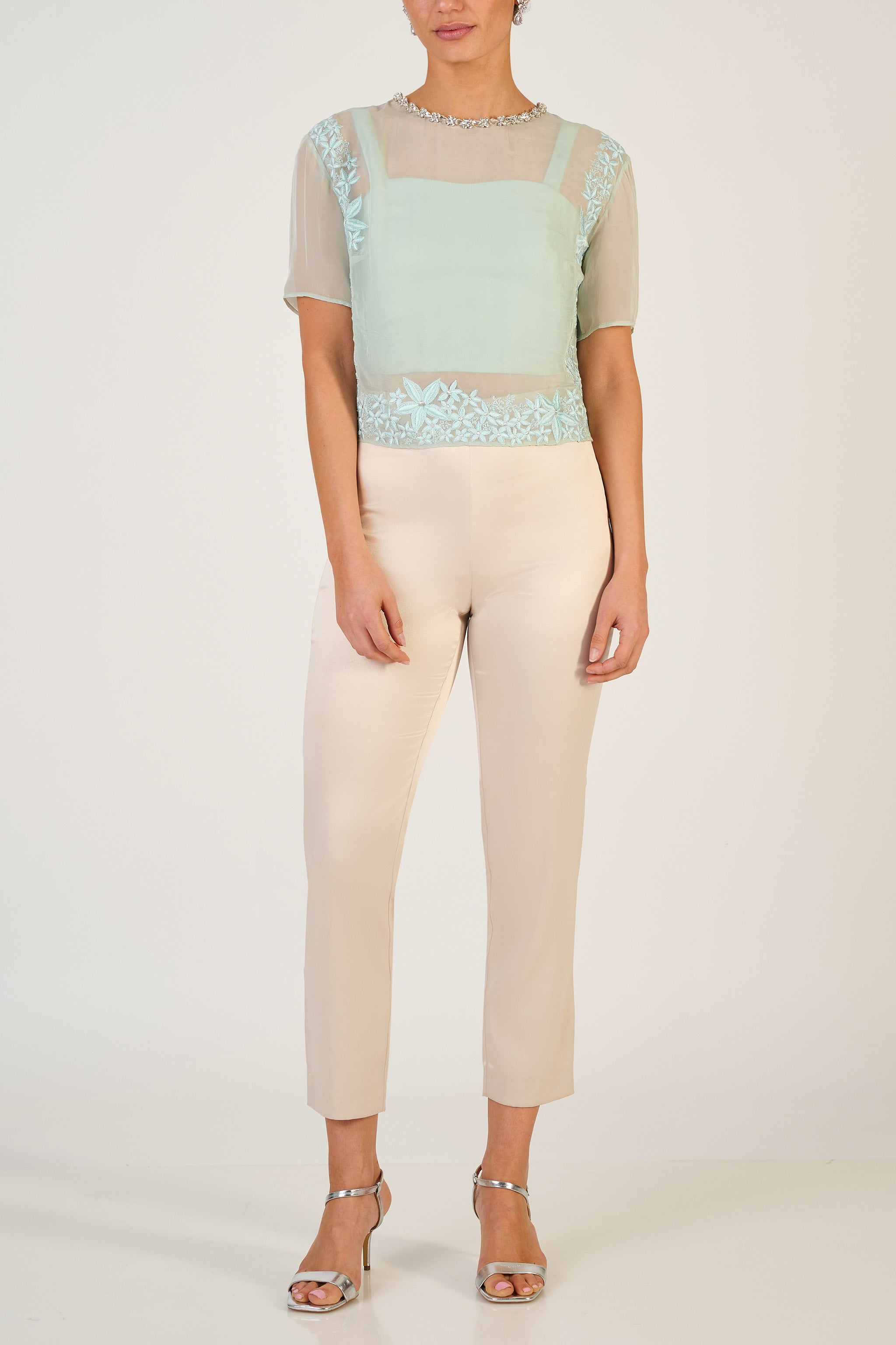 Aanya Boxy Sheer Top