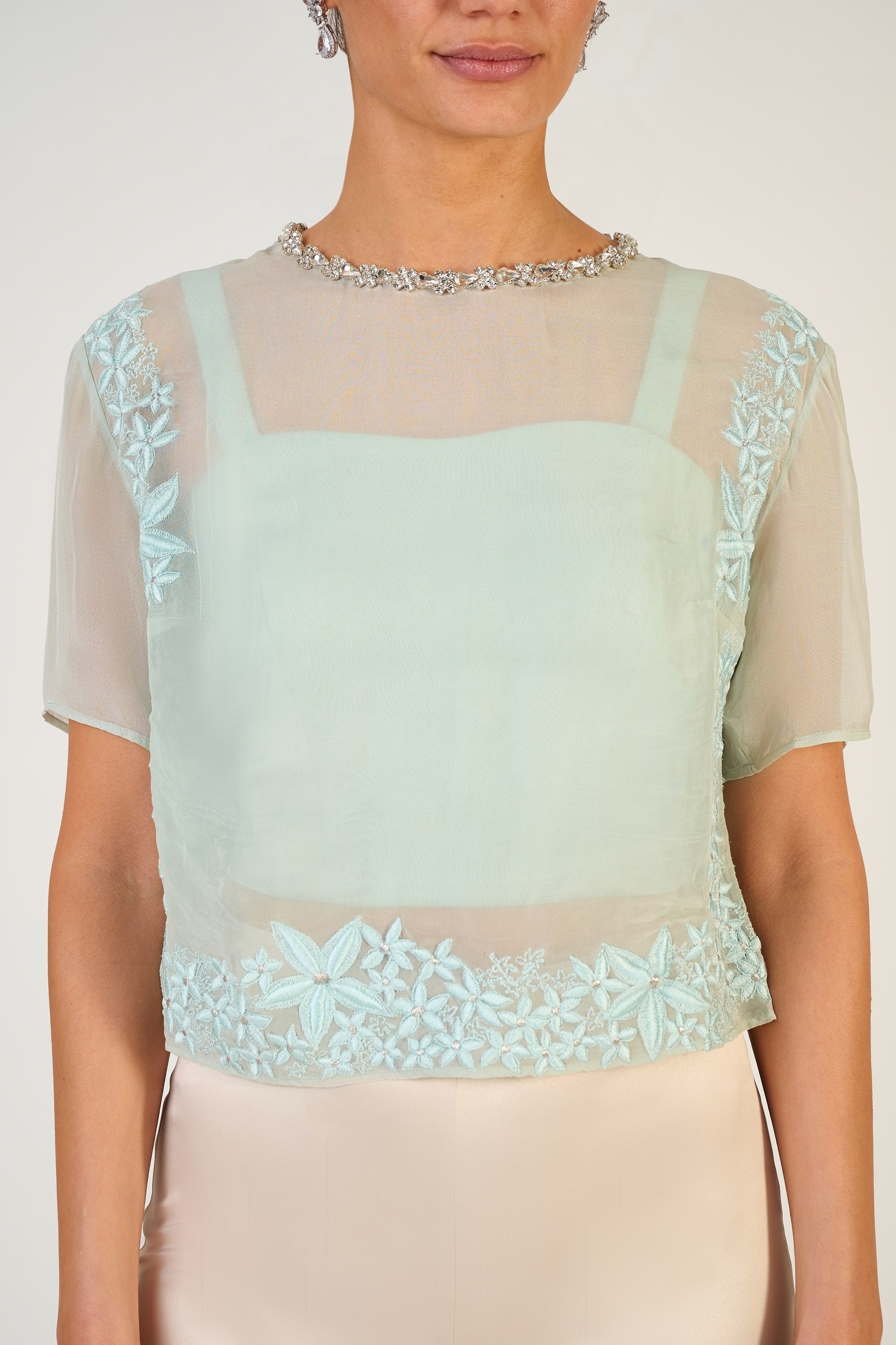 Aanya Boxy Sheer Top