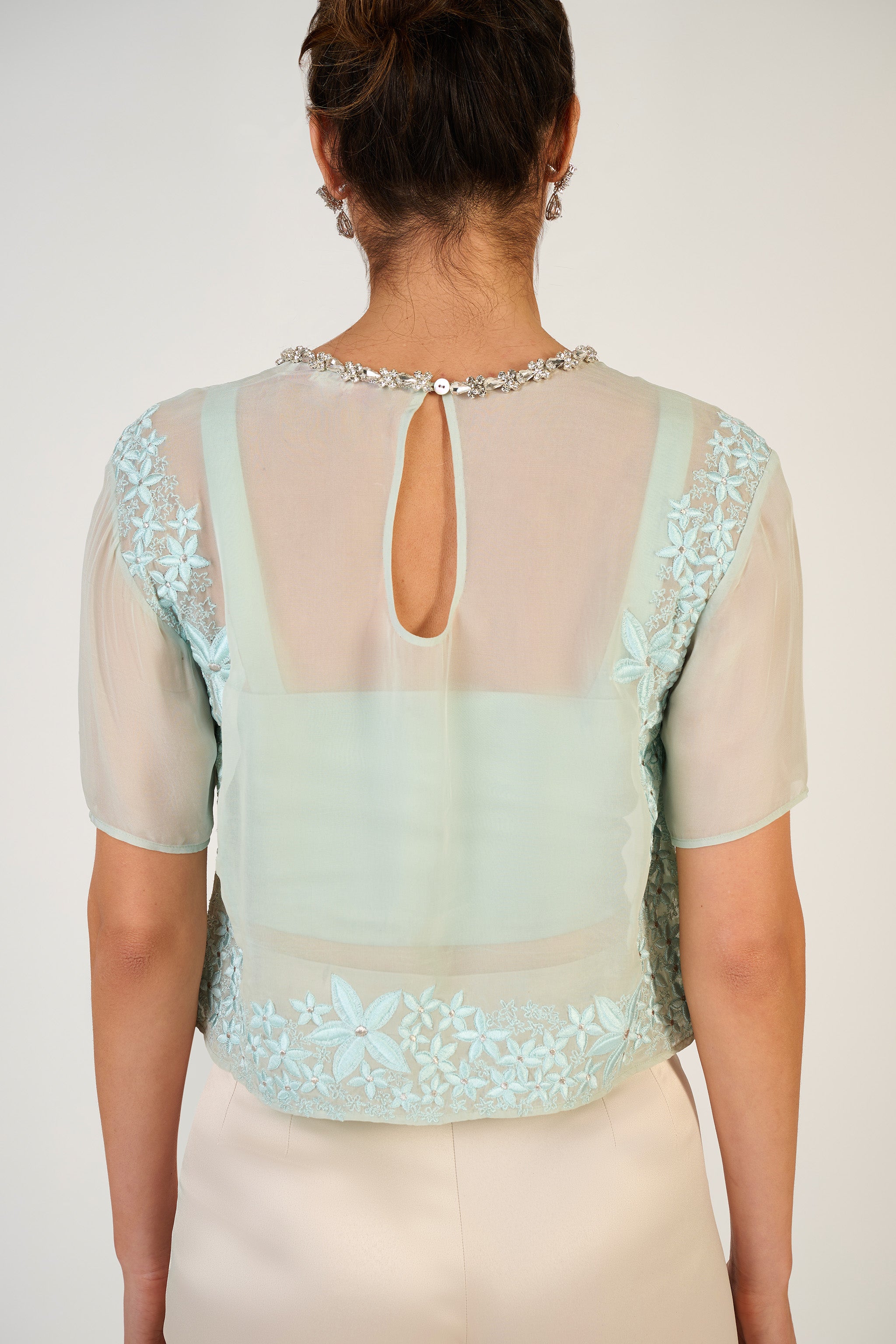 Aanya Boxy Sheer Top