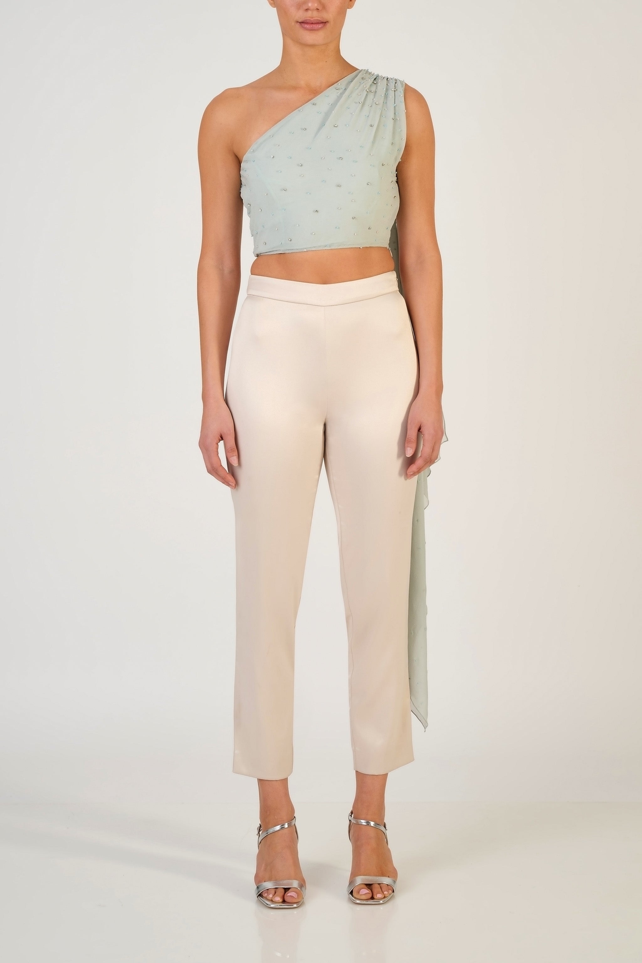 Aaina Sari Drape Top